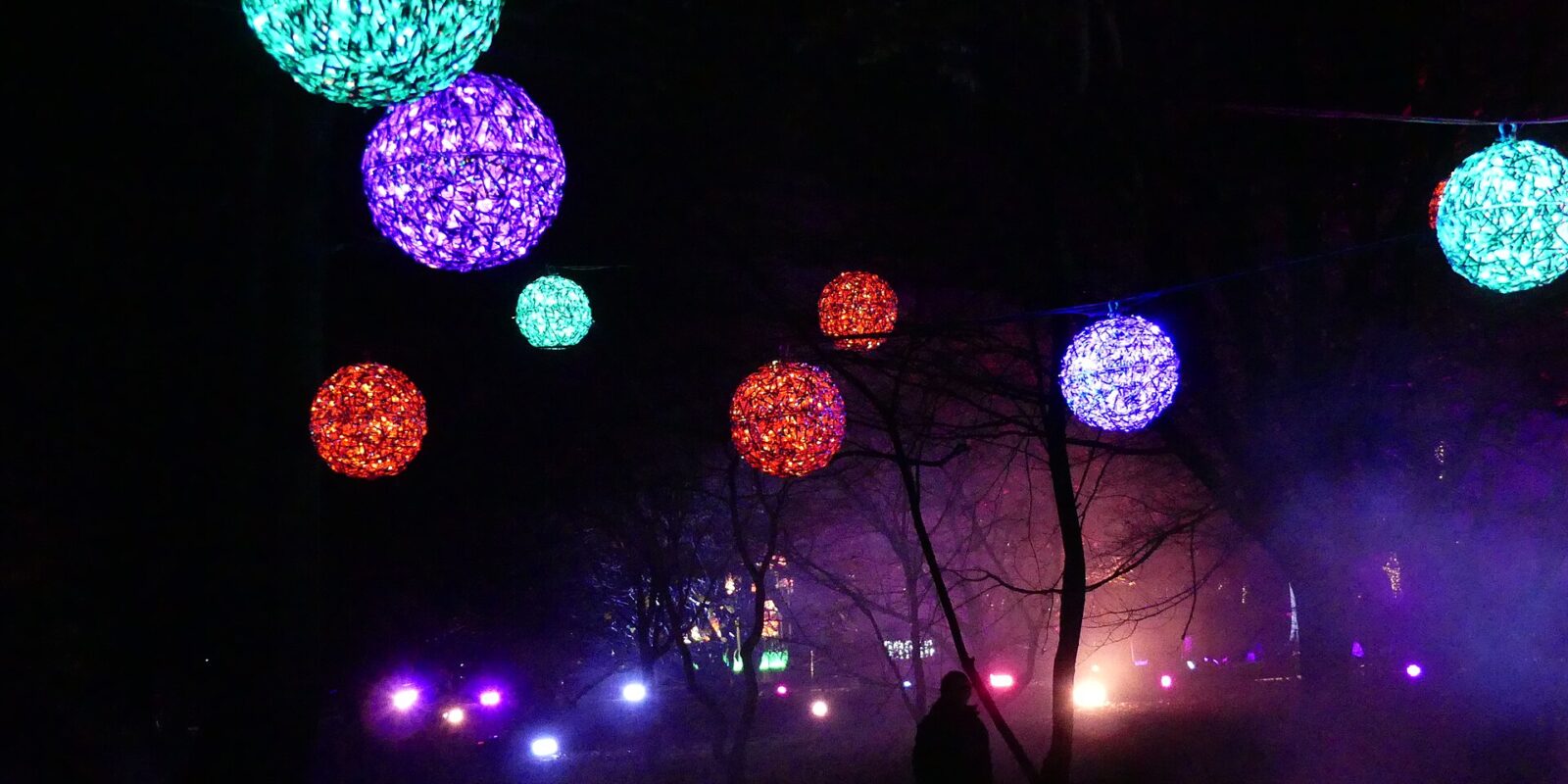 Christmas at Bute Park